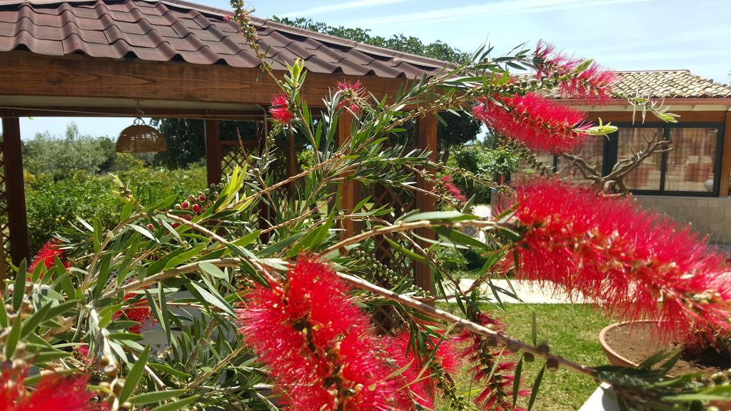 Alla Corte Di Nonna Maria Villa Pozzallo Ngoại thất bức ảnh